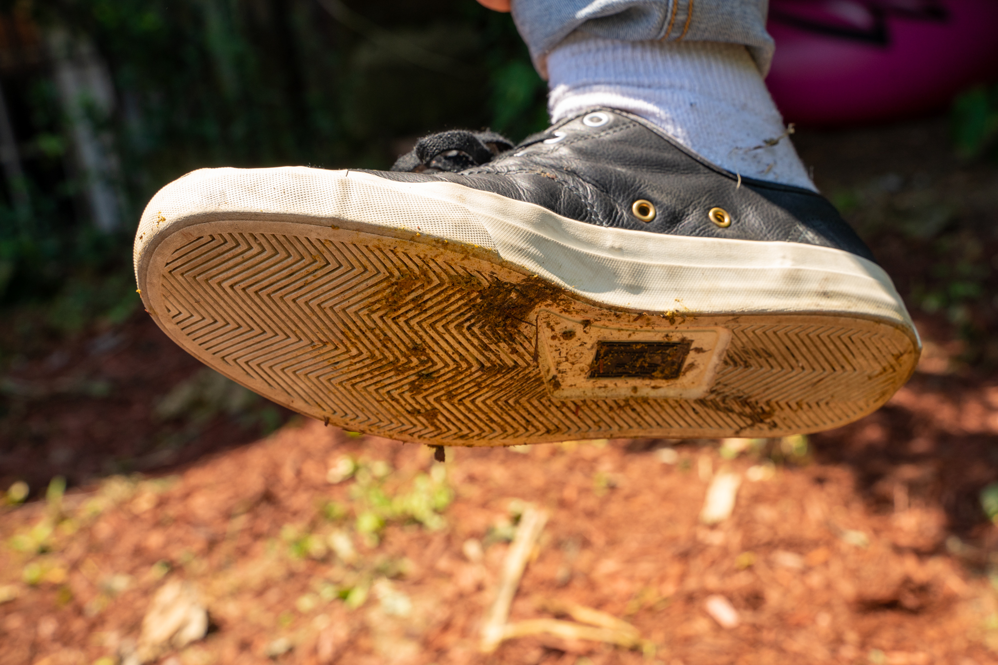 poop on shoes